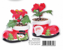 BOTA POINSETIA SORTIDA - Distribuidora 12 de Outubro