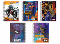 CADERNO UNIV CD 240 FLS 15 MAT PCT C/4 - Distribuidora 12 de Outubro