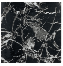 ADESIVO DECORATIVO DE PAPEL E PLASTICO - Distribuidora 12 de Outubro