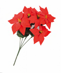 FLORES 5 BICO DE PAPAGAIO 20X45CM - Distribuidora 12 de Outubro