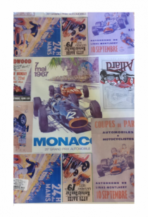 SAC CARROS 45X60 - Distribuidora 12 de Outubro
