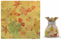 SAC FOLHAS SECAS 10X15 - Distribuidora 12 de Outubro