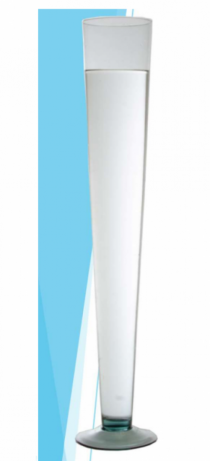 TULIPAO 35 CM TRANSP STANDARD - Distribuidora 12 de Outubro