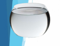 AQUARIO N 5 STANDARD - Distribuidora 12 de Outubro