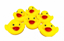 PATINHOS DE BORRACHA P/ BANHO 6 PCS - Distribuidora 12 de Outubro