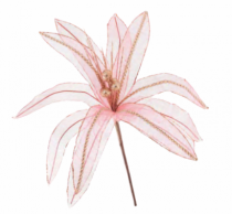 FLOR MARGARIDA PETALAS - Distribuidora 12 de Outubro