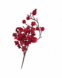 GALHO DE FRUTOS VERMELHO - Distribuidora 12 de Outubro