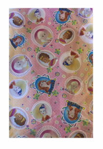 SAC PRINCESAS 45X60 - Distribuidora 12 de Outubro