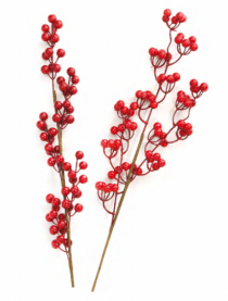 GALHO RAMOS FRUTOS VERMELHO - Distribuidora 12 de Outubro
