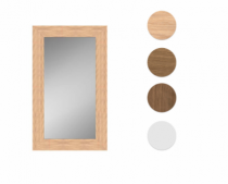 ESPELHO EMOLD NMP 39X65 SORTIDO - Distribuidora 12 de Outubro