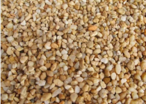 PEDRAS P/ AQUARIO E JARDINS OCRE - Distribuidora 12 de Outubro