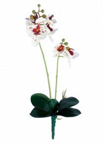 ORQUIDEA X2 FOLHA 42CM - Distribuidora 12 de Outubro