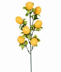 HT FRUTAS X7 LIMAO - Distribuidora 12 de Outubro