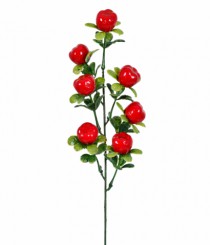 HT FRUTAS X7 MACA - Distribuidora 12 de Outubro