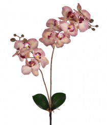 HT ORQUIDEA X2 COM FOLHAS ROSA - Distribuidora 12 de Outubro