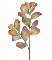 HT FICUS CONCINNA 3D AMARELO - Distribuidora 12 de Outubro