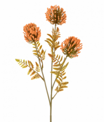 HT MINI GYPSO X3 CAFE - Distribuidora 12 de Outubro