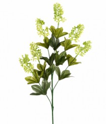 HT MINI FRUTAS X6 CREME VERDE - Distribuidora 12 de Outubro