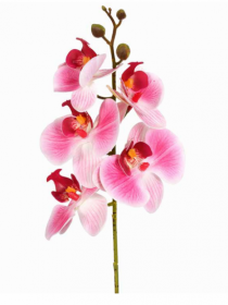 HT ORQUIDEA PHALAENOPSIS X5 3D ROSA - Distribuidora 12 de Outubro