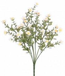 BQ POPPY X7 CREME - Distribuidora 12 de Outubro