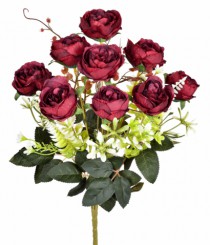 BQ PEONIA X9 VINHO OUTONO - Distribuidora 12 de Outubro