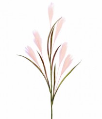 HT PAMPAS X6 ROSA - Distribuidora 12 de Outubro