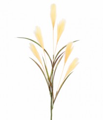 HT PAMPAS X6 CHAMPANHE - Distribuidora 12 de Outubro