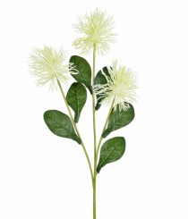 HT OURICO X3 CREME - Distribuidora 12 de Outubro