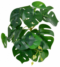 BQ FOLHAS REAL TOQUE X18 M3 - Distribuidora 12 de Outubro