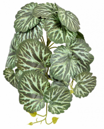 BQ FOLHAS REAL TOQUE X18 M6 - Distribuidora 12 de Outubro