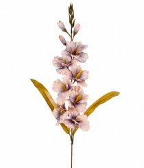 HT GLADIOLOS X10 LAVANDA OUTONO - Distribuidora 12 de Outubro