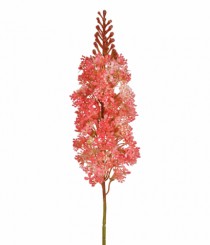 HT DELFINIUM LARANJA - Distribuidora 12 de Outubro