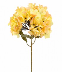 HT HORTENSIA PESSEGO - Distribuidora 12 de Outubro