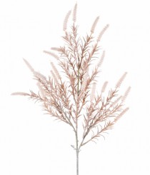 HT CATTAIL X3 CREME - Distribuidora 12 de Outubro