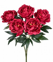 BQ PEONIA X5 VERMELHO - Distribuidora 12 de Outubro