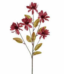 HT MARGARIDA X5 VERMELHO OUTONO - Distribuidora 12 de Outubro