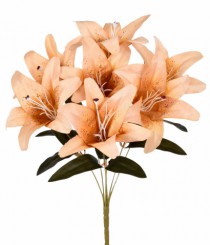 BQ LIRIO X7 CAFE - Distribuidora 12 de Outubro