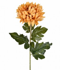 HT CRISANTEMO AMARELO - Distribuidora 12 de Outubro