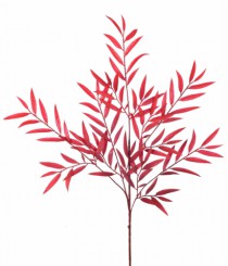 HT FOLHAS VERMELHO - Distribuidora 12 de Outubro