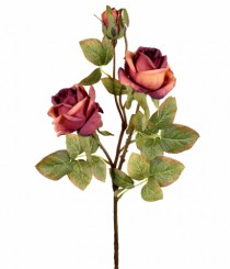 HT ROSA X3 FERRUGEM - Distribuidora 12 de Outubro