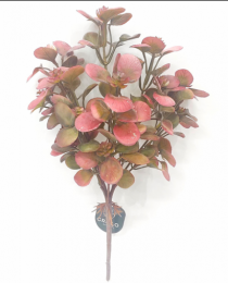 BQ FOLHAS X 6 CORAL - Distribuidora 12 de Outubro