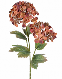 HT HORTENSIA X2 UV LARANJA - Distribuidora 12 de Outubro