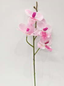 HT ORQUIDEA X 4 ROSA - Distribuidora 12 de Outubro