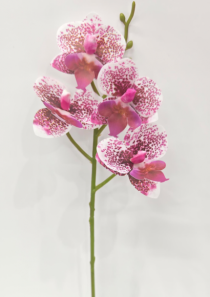 HT ORQUIDEA X 4 BRANCO ROSA - Distribuidora 12 de Outubro