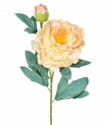 HT PEONIA X2 AMARELO - Distribuidora 12 de Outubro