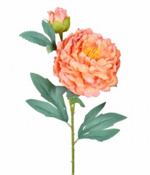 HT PEONIA X2 LARANJA - Distribuidora 12 de Outubro