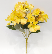 BQ HIBISCO X5 AMARELO - Distribuidora 12 de Outubro