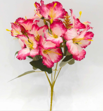 BQ HIBISCO X5 ROSA - Distribuidora 12 de Outubro