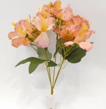 BQ HIBISCO X5 CORAL - Distribuidora 12 de Outubro