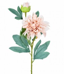 HT DALIA X2 CREME - Distribuidora 12 de Outubro